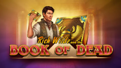 Book of Dead slot at Zebra Wins